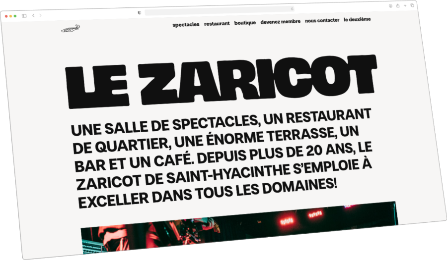 lezaricot-com-accueil-2